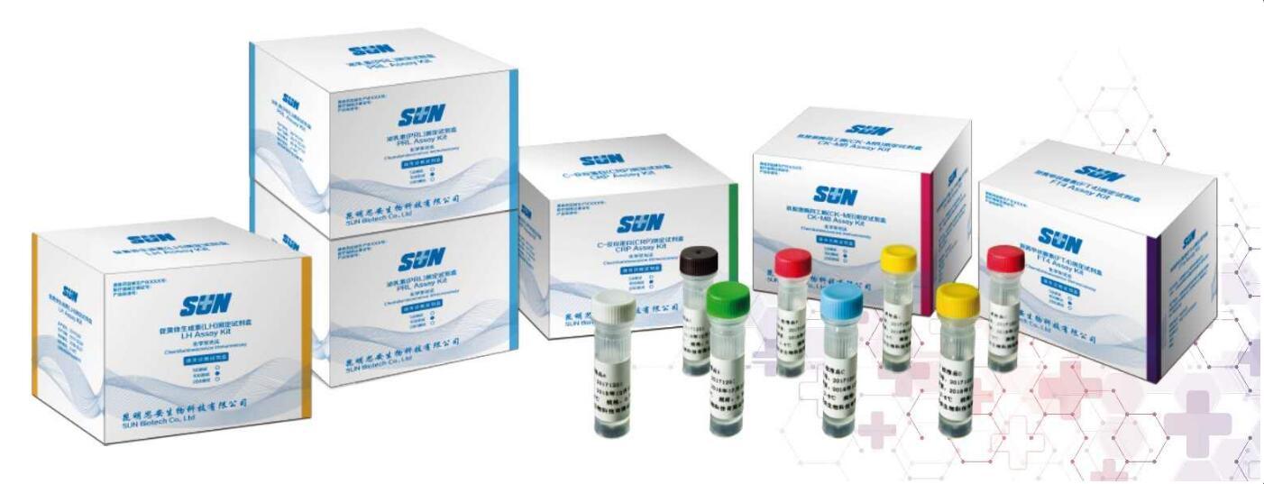 CK-MB Assay Kit（Chemiluminescence Immunoassay）