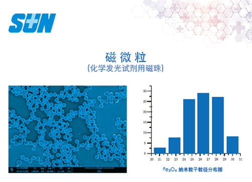 Chemiluminescence Immunoassay Hydrophobic Magnetic Beads for Diagnostic Reagents (carboxyl group)